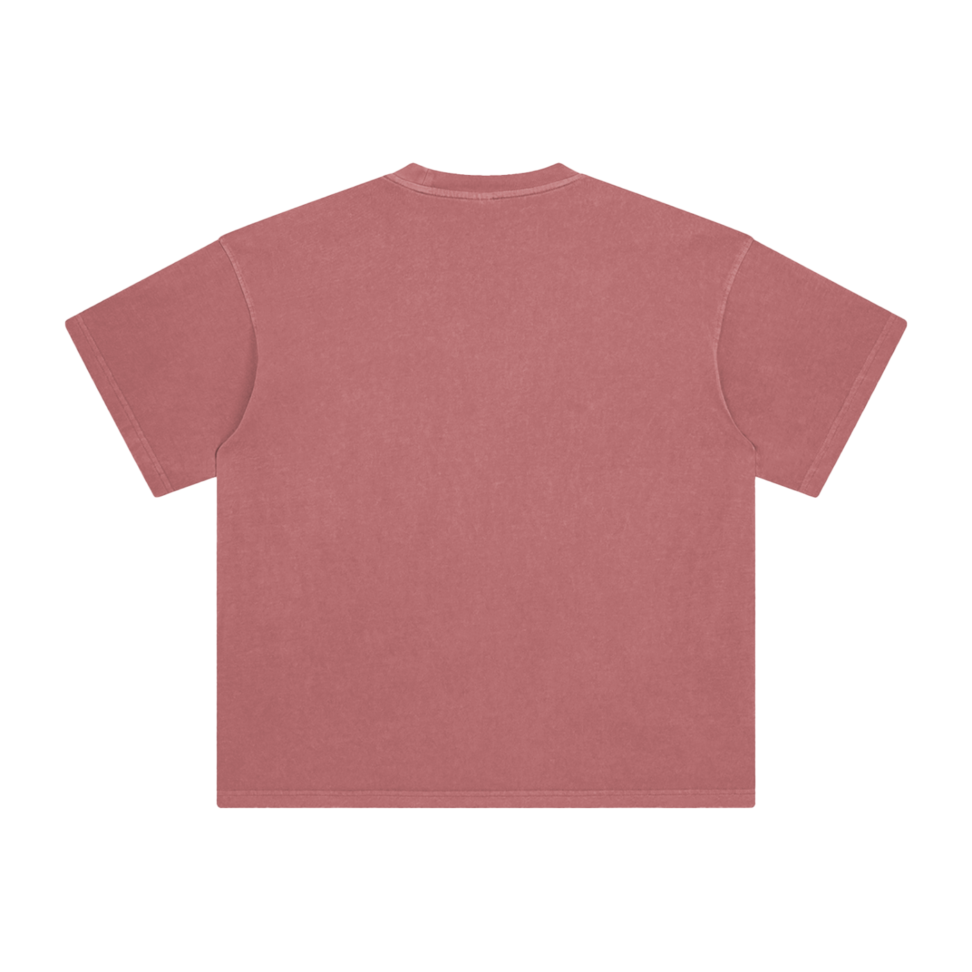PRINCIPLES | Enzyme Washed Tee