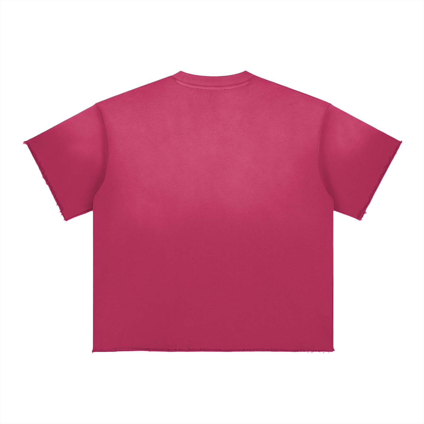 PRINCIPLES | Sun Fade Raw Edge T-Shirt