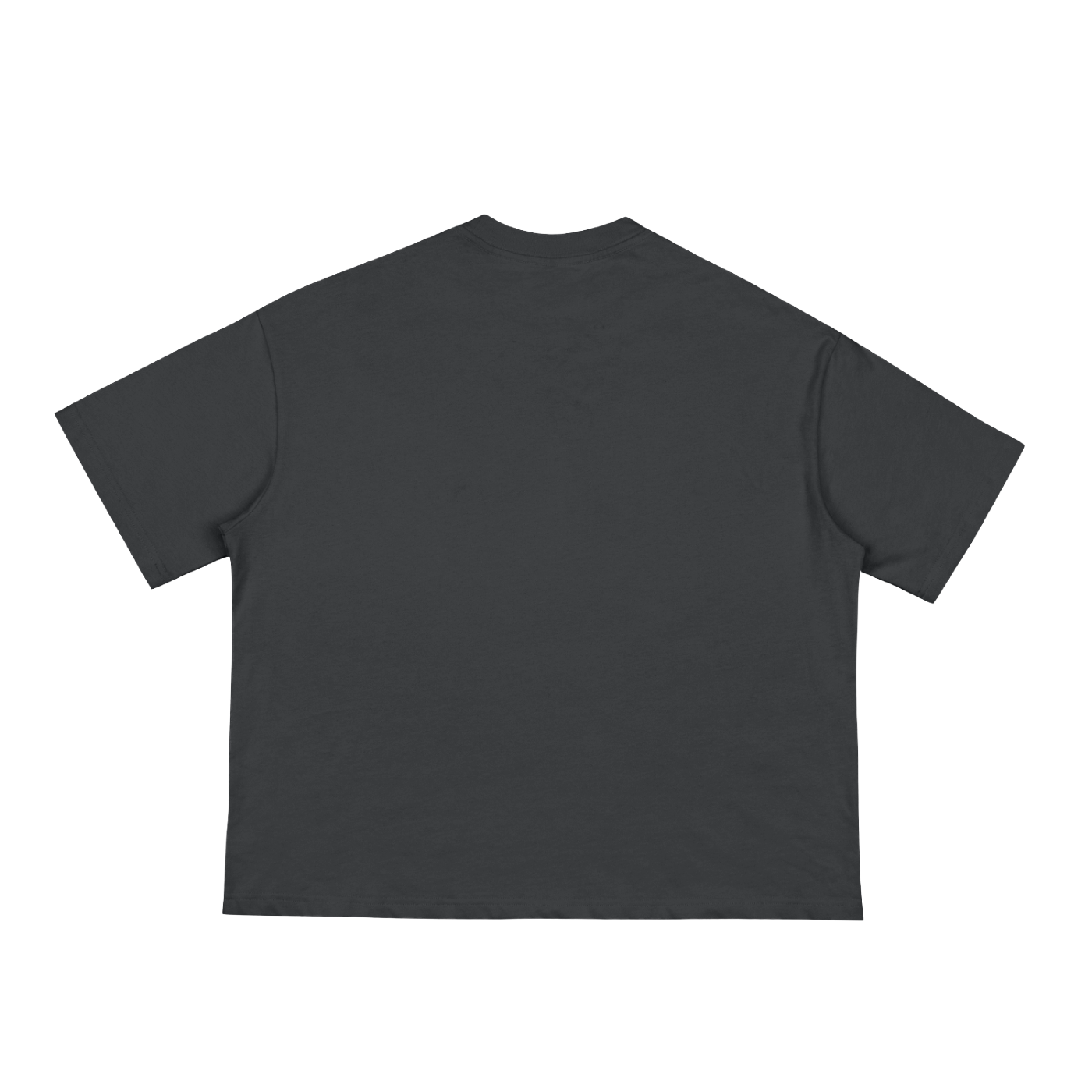 PRINCIPLE | Classic Loose Boxy Tee