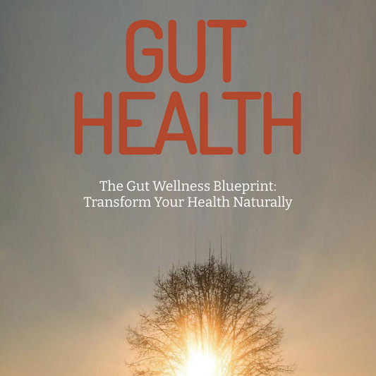 The Gut Wellness Blueprint: Transform Your Health Naturally | Ebook