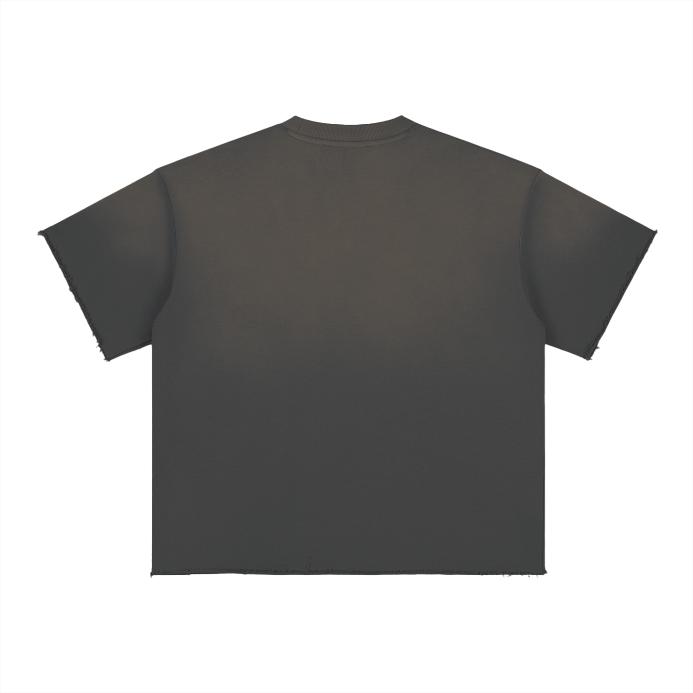 PRINCIPLES | Sun Fade Raw Edge T-Shirt